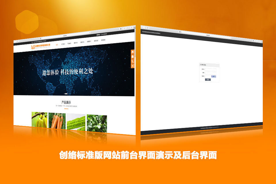 創(chuàng)絡(luò)標準版網(wǎng)站